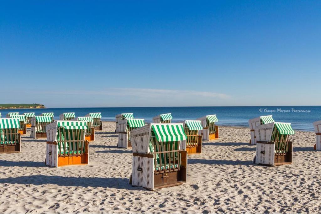 Ferienwohnung Seestern Fuer 6 Personen Mit Kamin & Terrasse ボルテンハーゲン エクステリア 写真